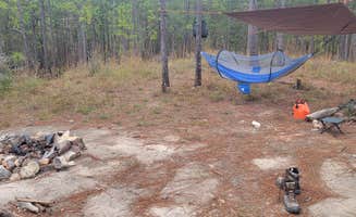 Potsie D.'s photo at Forest Road 380 Kisatchi National Forest near Gorum, LA