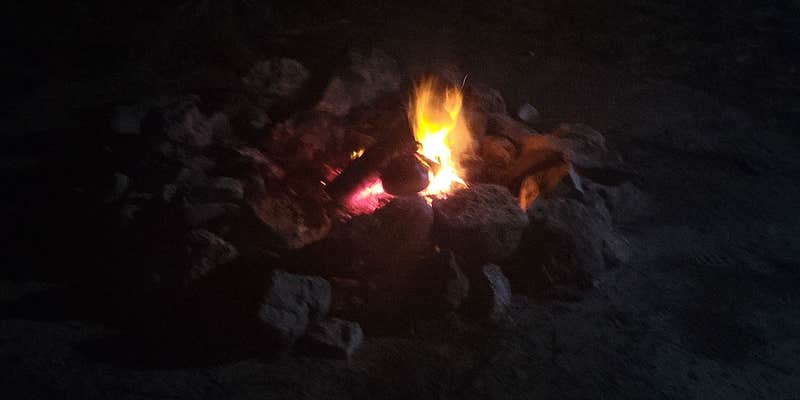 Camper submitted image from Forest Road 380 Kisatchi National Forest