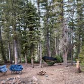 Review photo of Forest Road 383 by Erica L., May 13, 2026