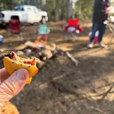 Review photo of Forest Road 383 by Erica L., May 13, 2026