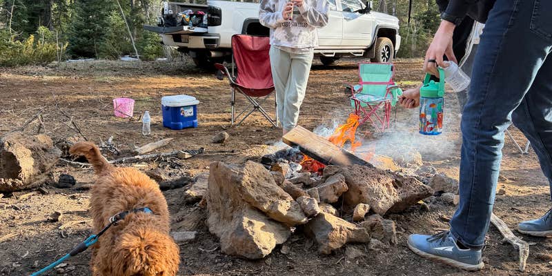Camper submitted image from Forest Road 383