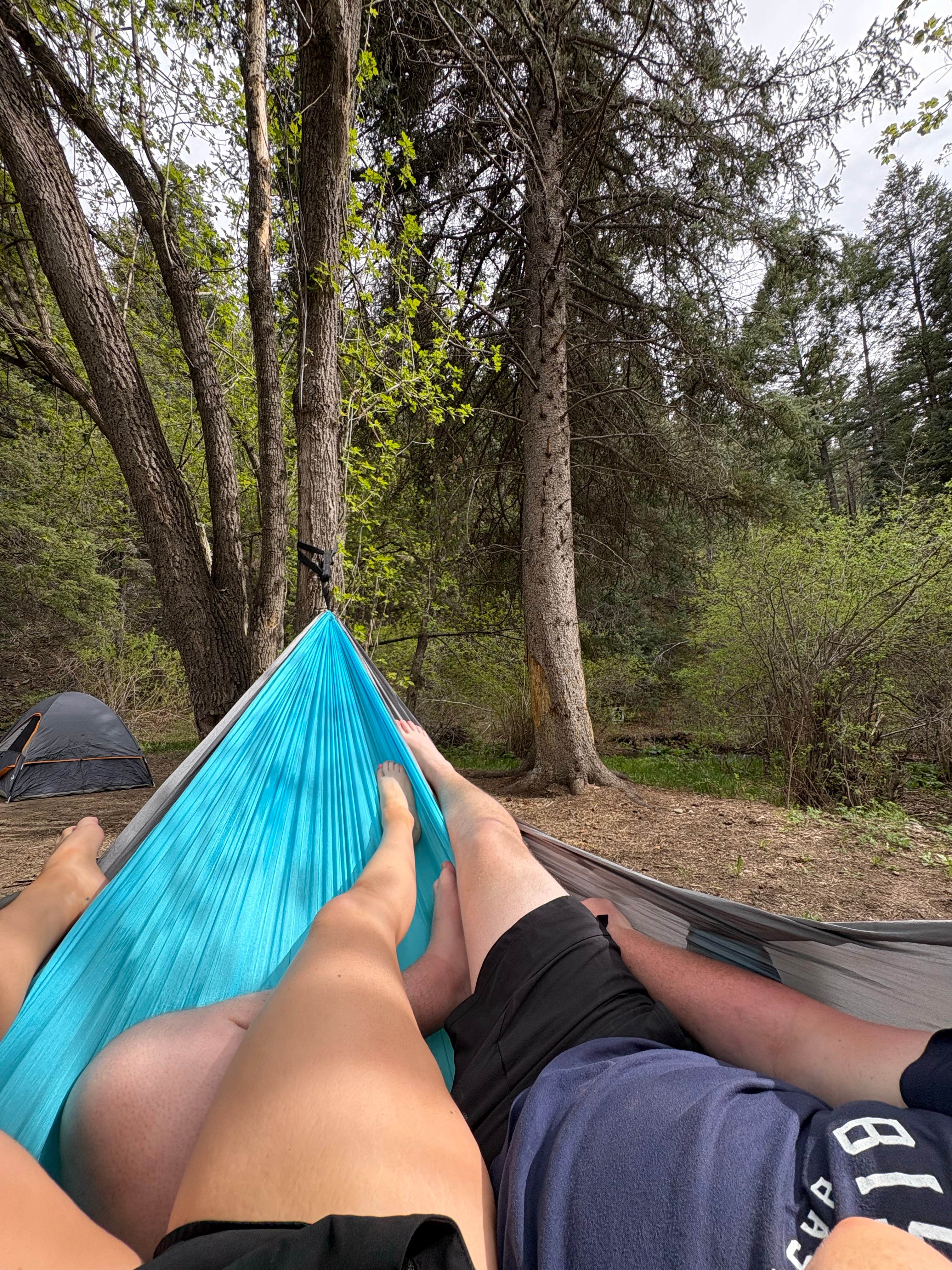 Emma H.'s photo of a dispersed camping area at Forest Road 438 Dispersed near Peñasco, NM