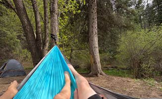 Emma H.'s photo of a dispersed camping area at Forest Road 438 Dispersed near Arroyo Seco, NM