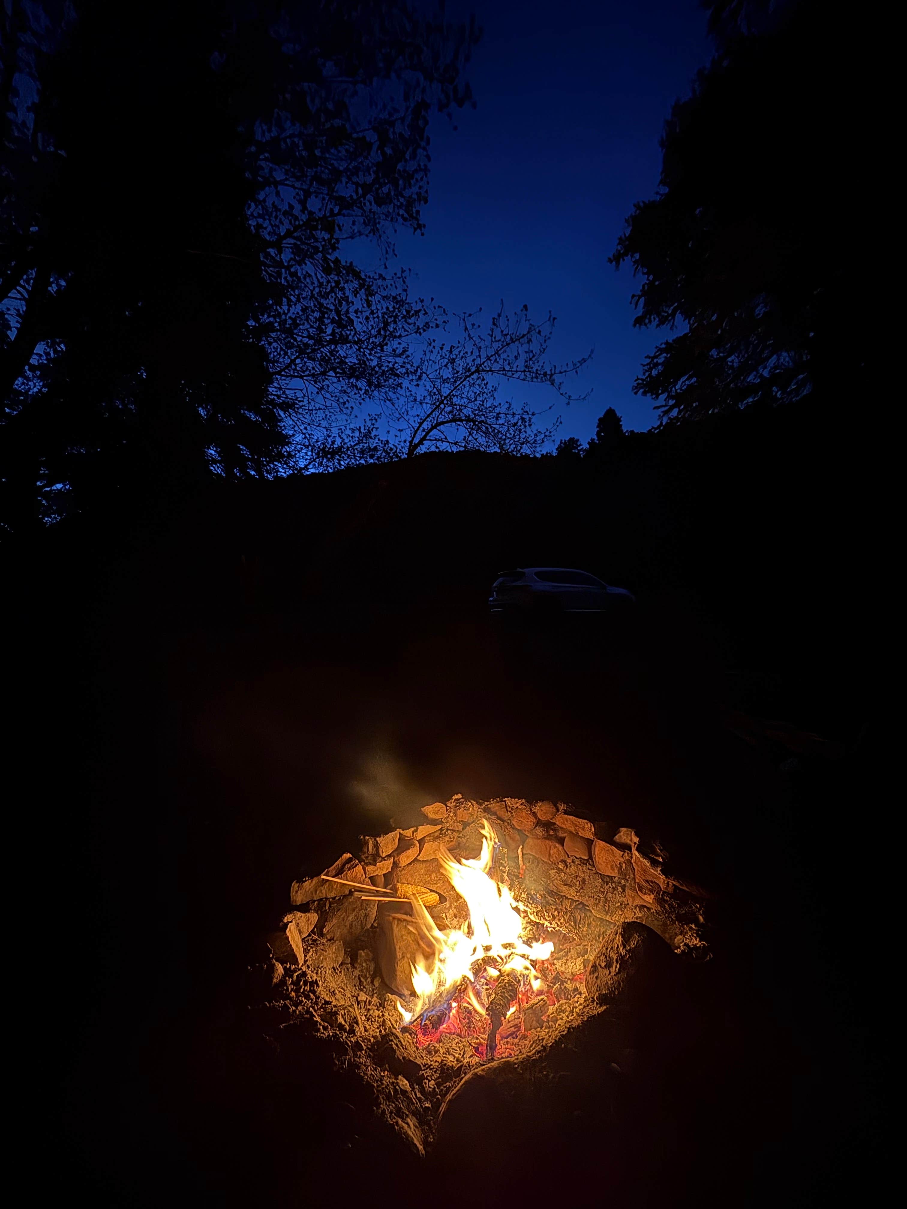 Camper submitted image from Forest Road 438 Dispersed - 1