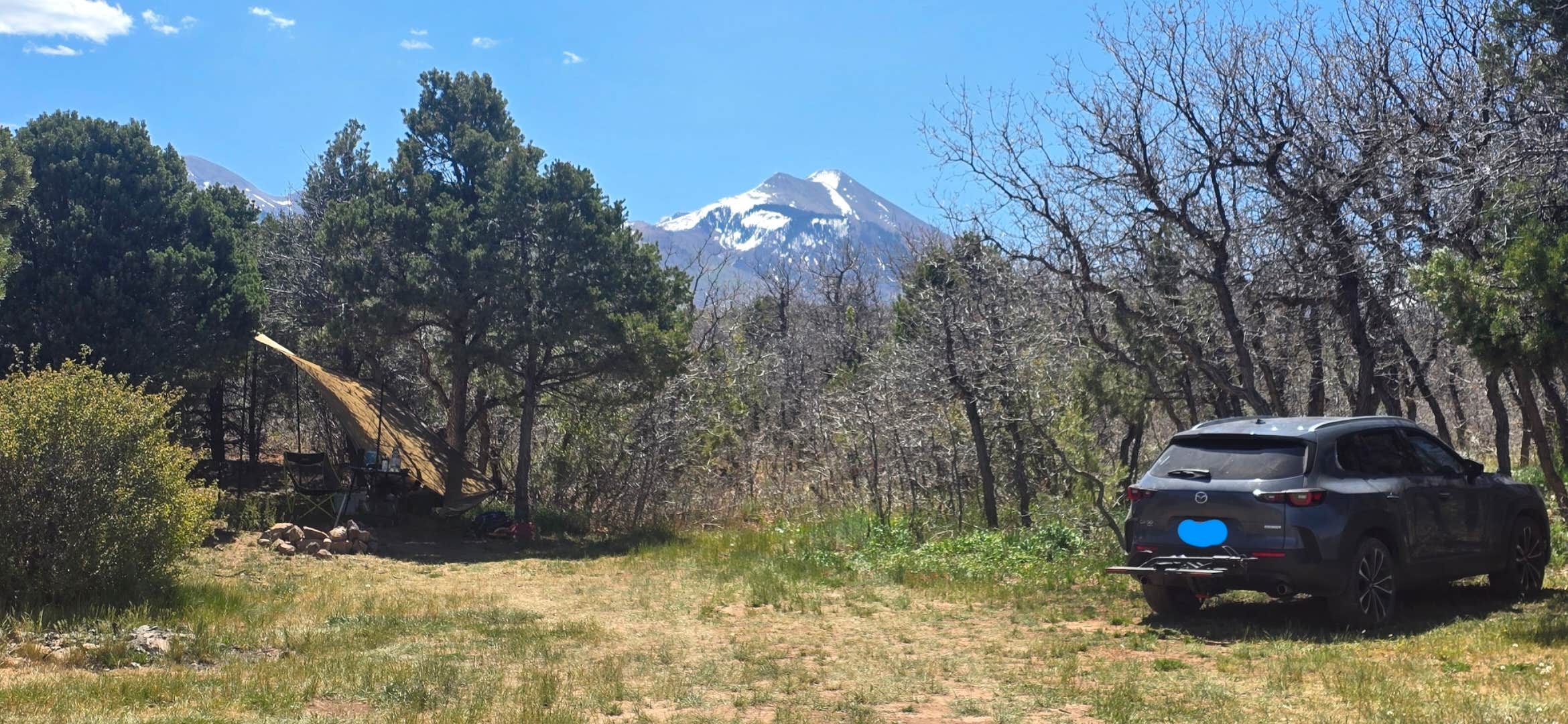 Camping near Gold Basin Yurt: Forest Road 4651 Dispersed Campsite, Castle Valley, Utah