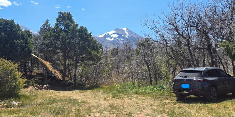 Camper submitted image from Forest Road 4651 Dispersed Campsite