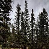 Review photo of Forest Road 5 - Dispersed campsite by Earl B., May 11, 2025