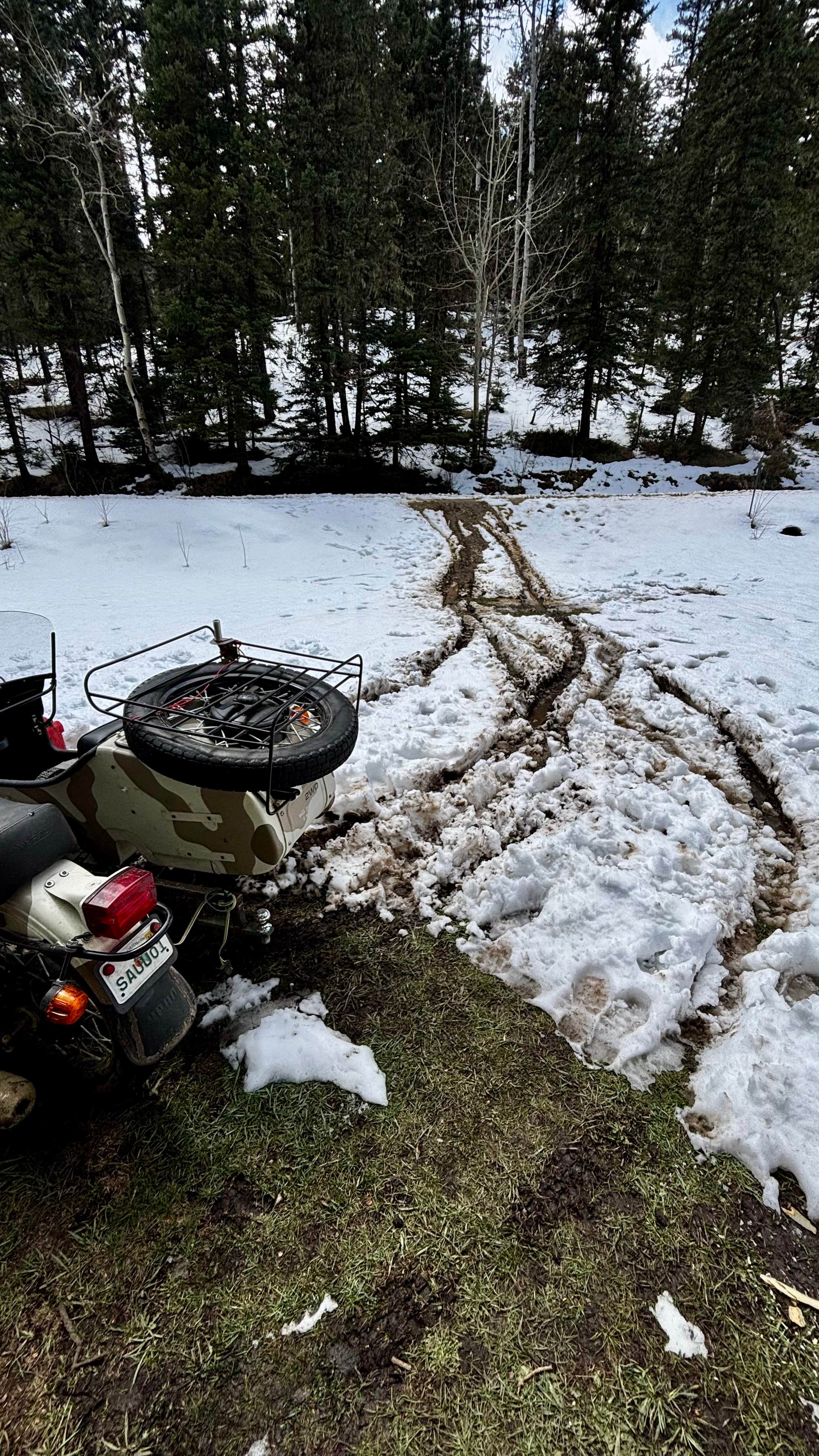 Camper submitted image from Forest Road 5 - Dispersed campsite - 2