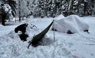 Earl B.'s photo of a dispersed camping area at Forest Road 5 - Dispersed campsite near Taos Ski Valley, NM