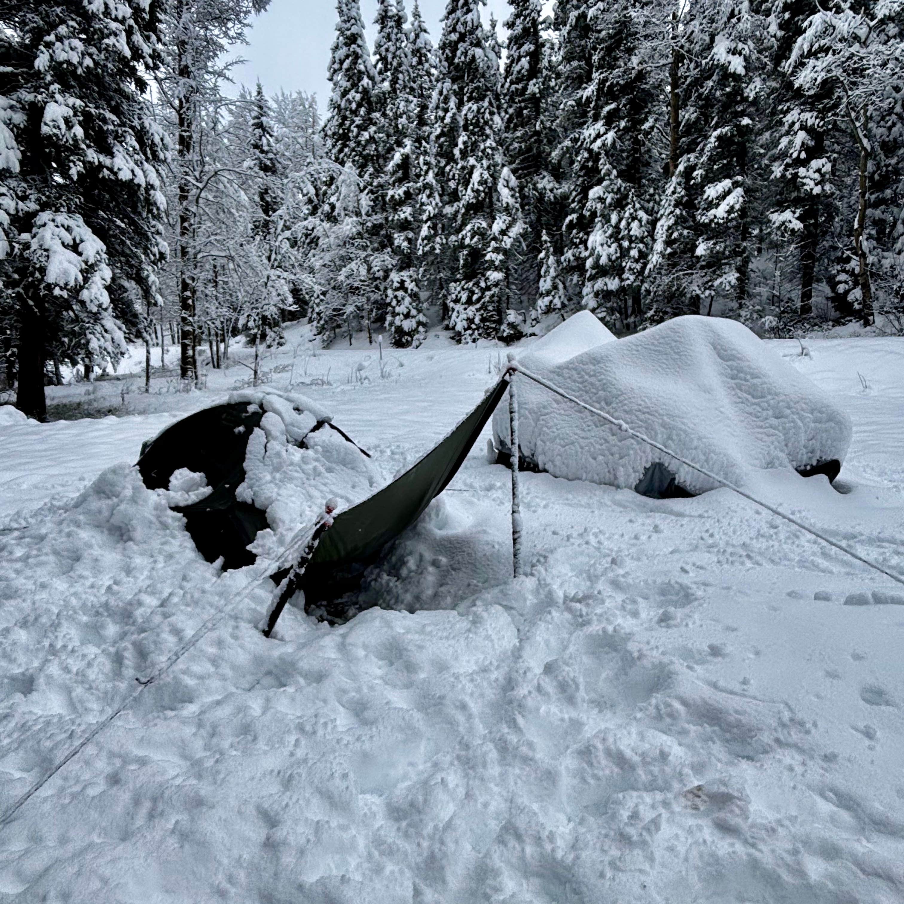 Camper-submitted photo at Forest Road 5 - Dispersed campsite near Taos, NM
