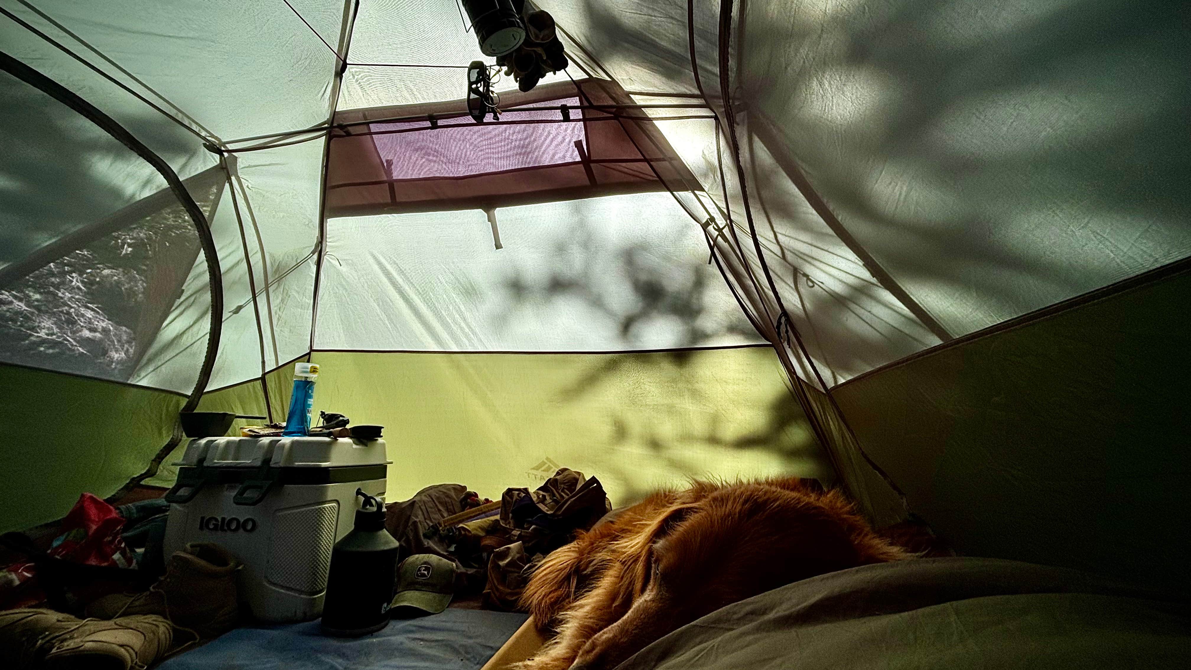 Camper-submitted photo at Forest Road 5 - Dispersed campsite near Arroyo Seco, NM