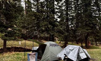 Earl B.'s photo at Forest Road 5 - Dispersed campsite near Taos, NM