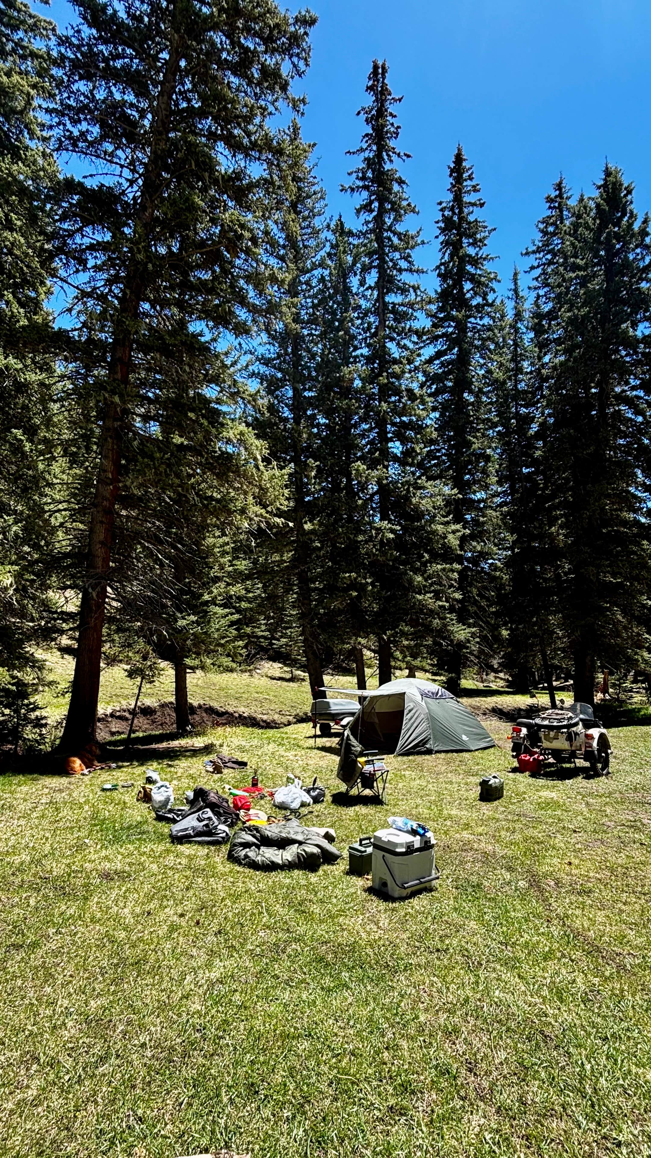 Camper-submitted photo at Forest Road 5 - Dispersed campsite near Taos, NM