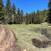 Review photo of Forest Road 5 - Dispersed campsite by Meghan B., May 12, 2025