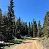 Review photo of Forest Road 5 - Dispersed campsite by Meghan B., May 12, 2025