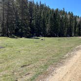 Review photo of Forest Road 5 - Dispersed campsite by Meghan B., May 12, 2025
