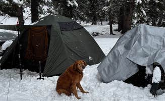 Earl B.'s photo of a dispersed camping area at Forest Road 5 - Dispersed campsite near Taos Ski Valley, NM