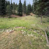 Review photo of Forest Road 5 - Dispersed campsite by Scott F., July 7, 2026