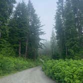 Review photo of Forest Road 51 near Beaver Creek by Anna P., July 2, 2025