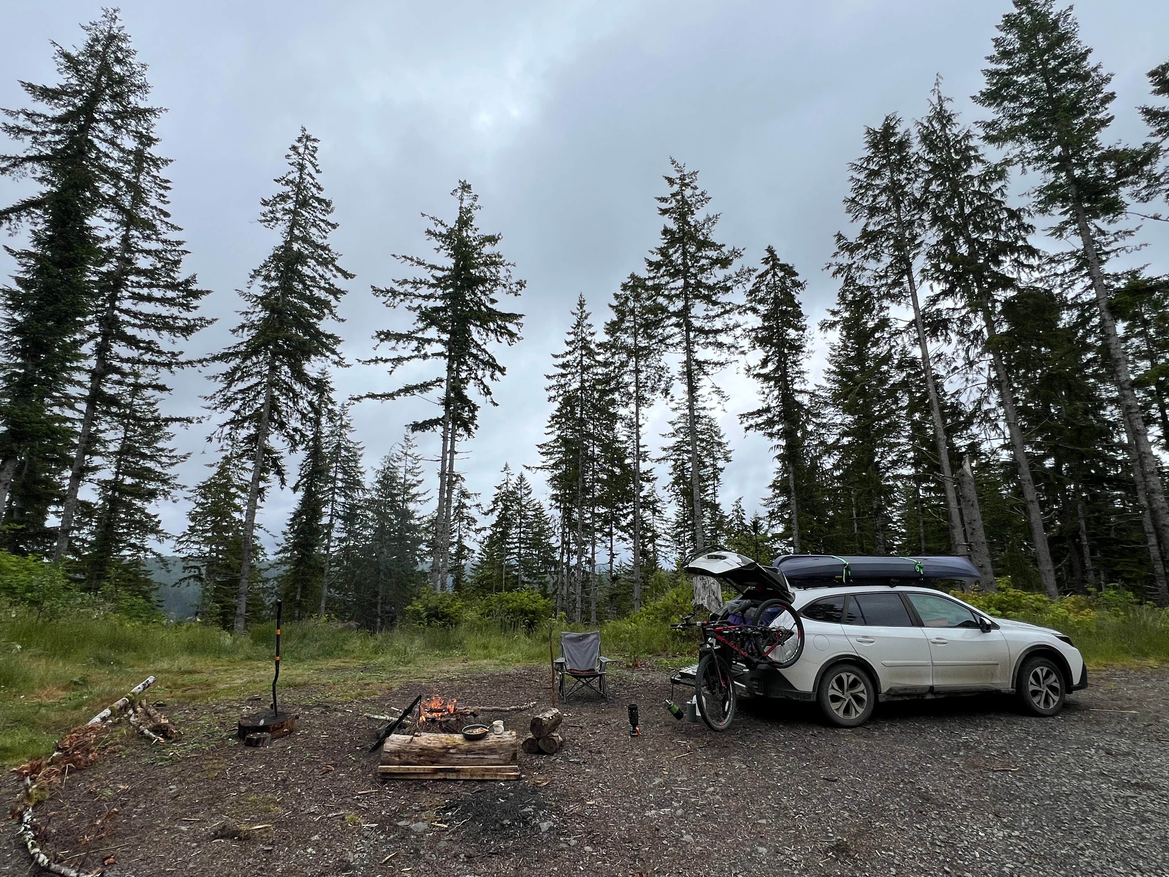 Camper submitted image from Forest Road 51 near Beaver Creek - 2