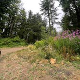 Review photo of Forest Road 51 near Beaver Creek by emily H., August 2, 2025