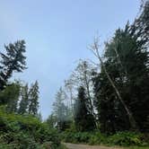Review photo of Forest Road 51 near Beaver Creek by emily H., August 2, 2025