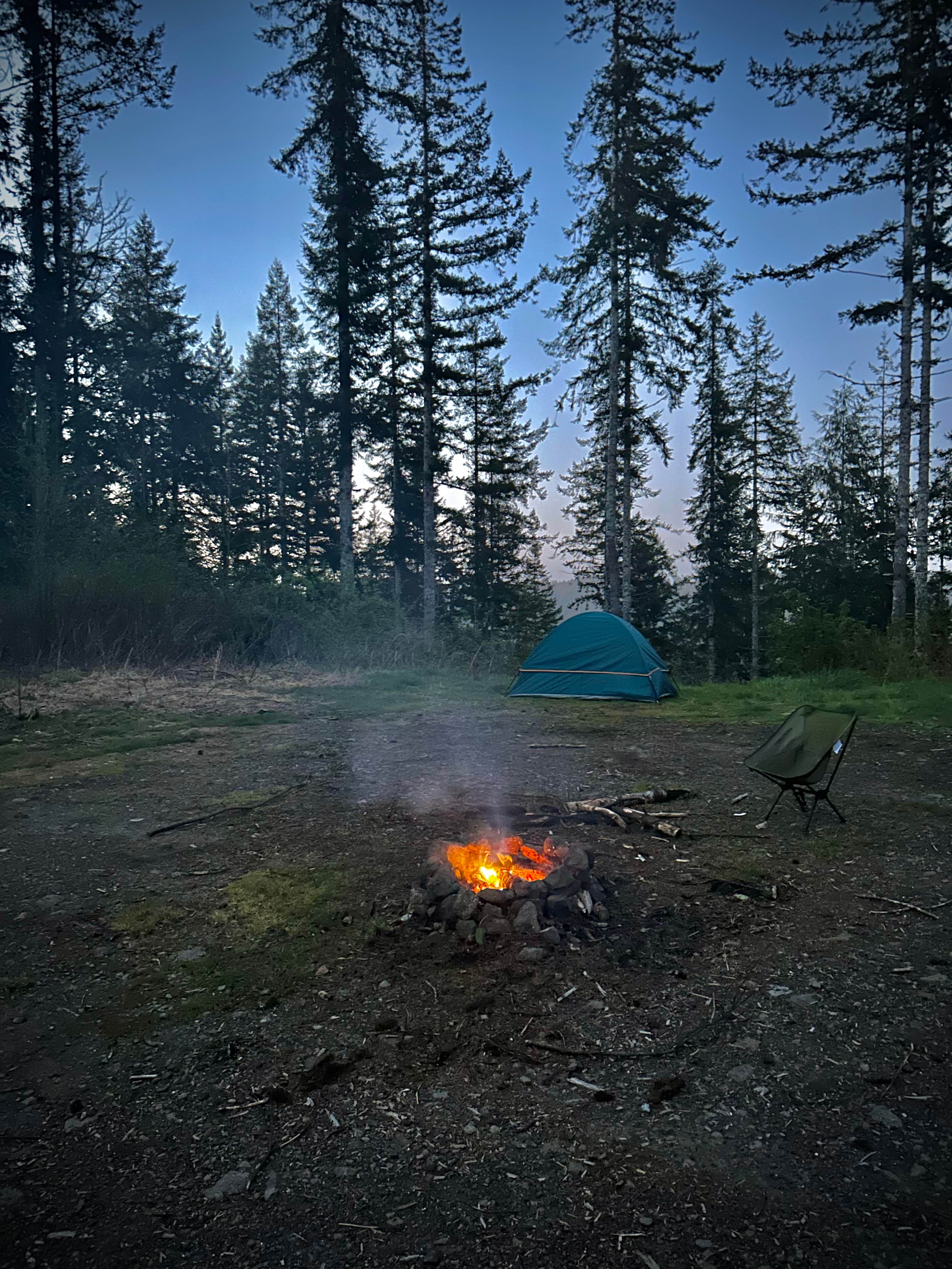 Camper-submitted photo at Forest Road 51 near Beaver Creek near Newport, OR