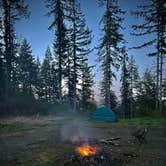 Review photo of Forest Road 51 near Beaver Creek by Dylan B., April 20, 2025