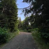 Review photo of Forest Road 51 near Beaver Creek by Alicia W., July 5, 2025