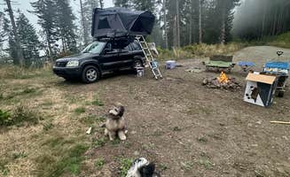 Treva W.'s photo at Forest Road 51 near Beaver Creek near Seal Rock, OR