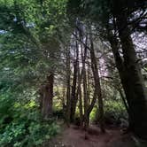 Review photo of Forest Road 51 near Beaver Creek by Alicia W., July 5, 2025