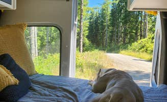 Kelda C.'s photo of camping with pets at Forest Road 51 near Beaver Creek near Toledo, OR
