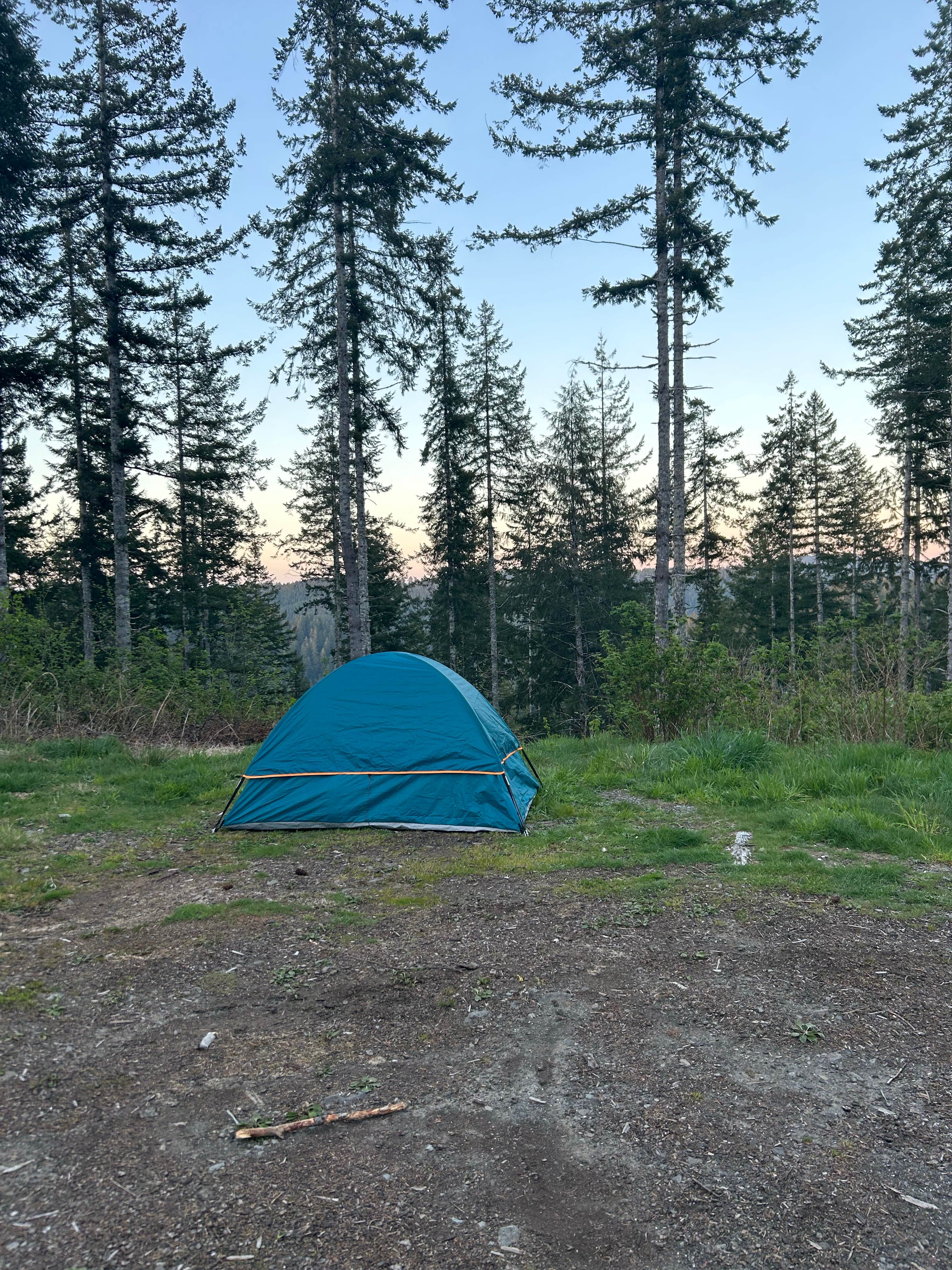 Dylan B.'s photo of tent camping at Forest Road 51 near Beaver Creek near Newport, OR