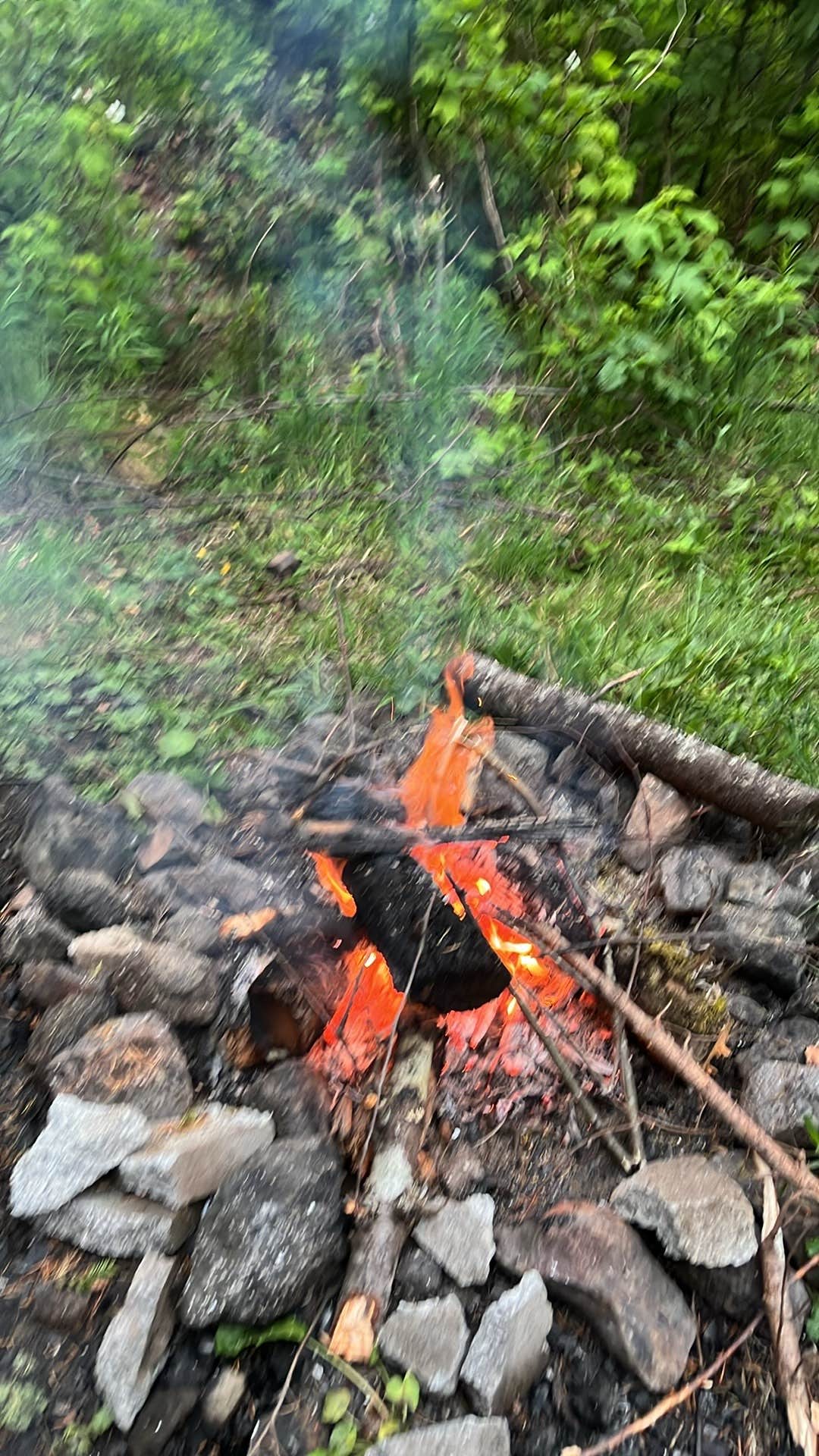 Camper-submitted photo at Forest Road 51 near Beaver Creek near Newport, OR