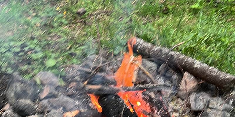 Camper submitted image from Forest Road 51 near Beaver Creek