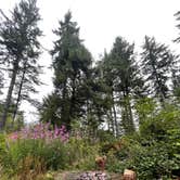 Review photo of Forest Road 51 near Beaver Creek by emily H., August 2, 2025