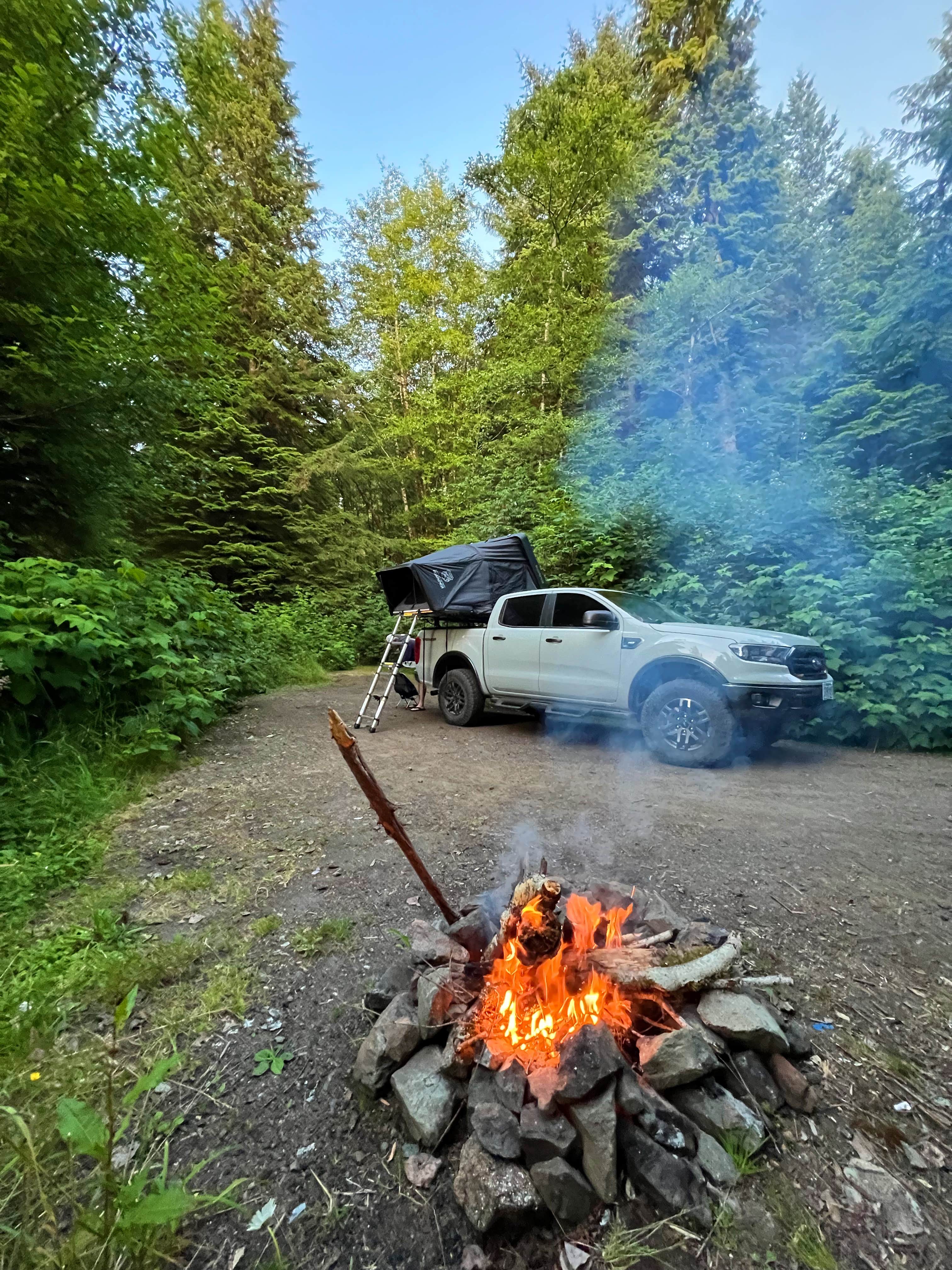 Camper-submitted photo at Forest Road 51 near Beaver Creek near Newport, OR