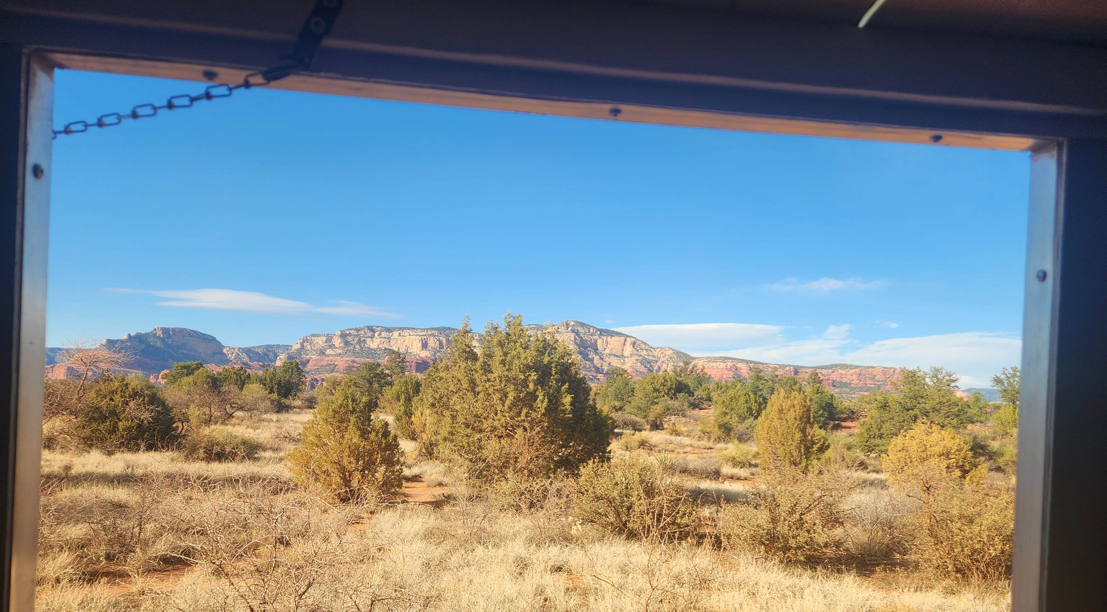 Camper submitted image from Forest Road 525 Camping Area - 5