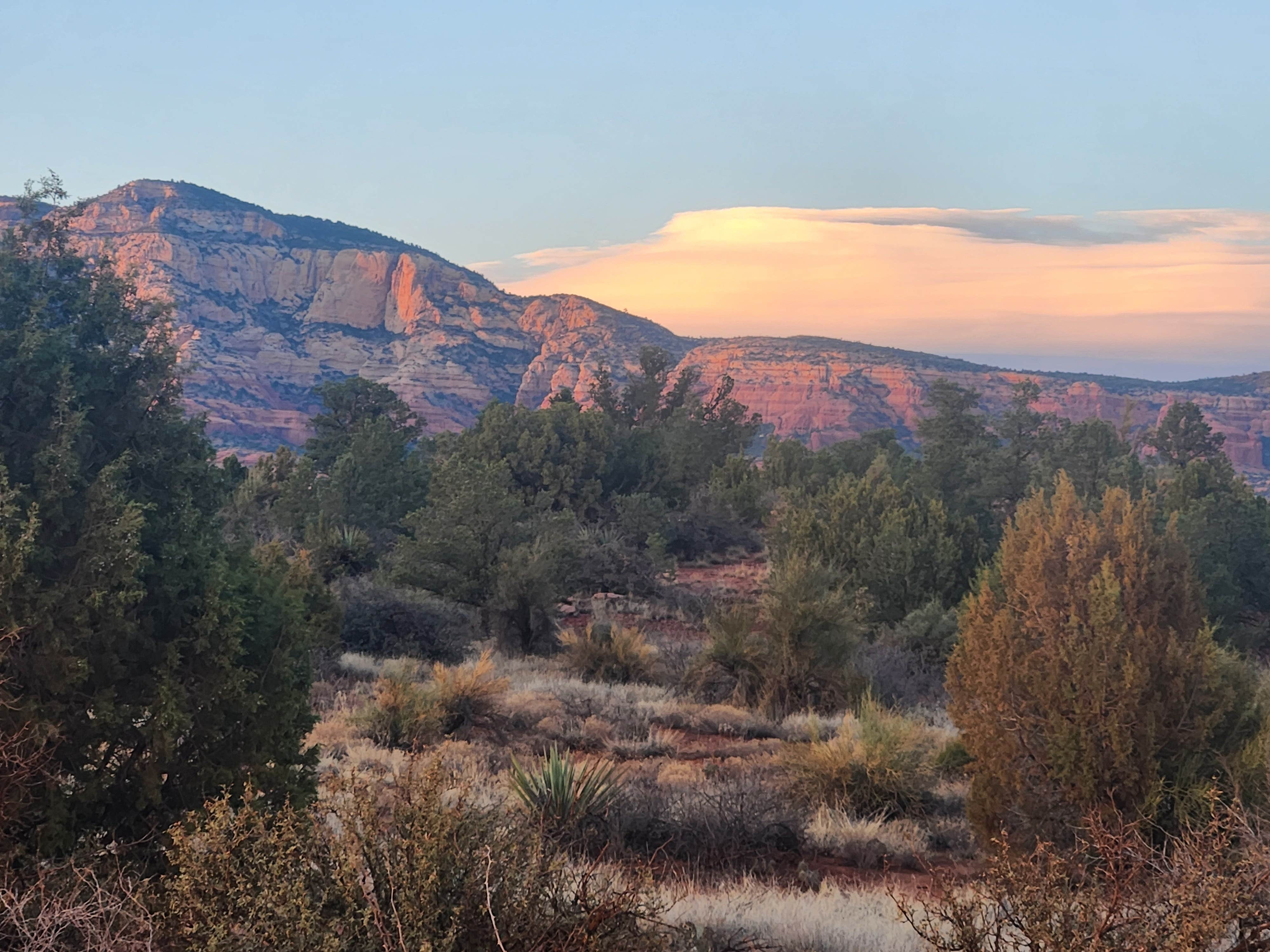Camper-submitted photo at Forest Road 525 Camping Area near Cottonwood, AZ