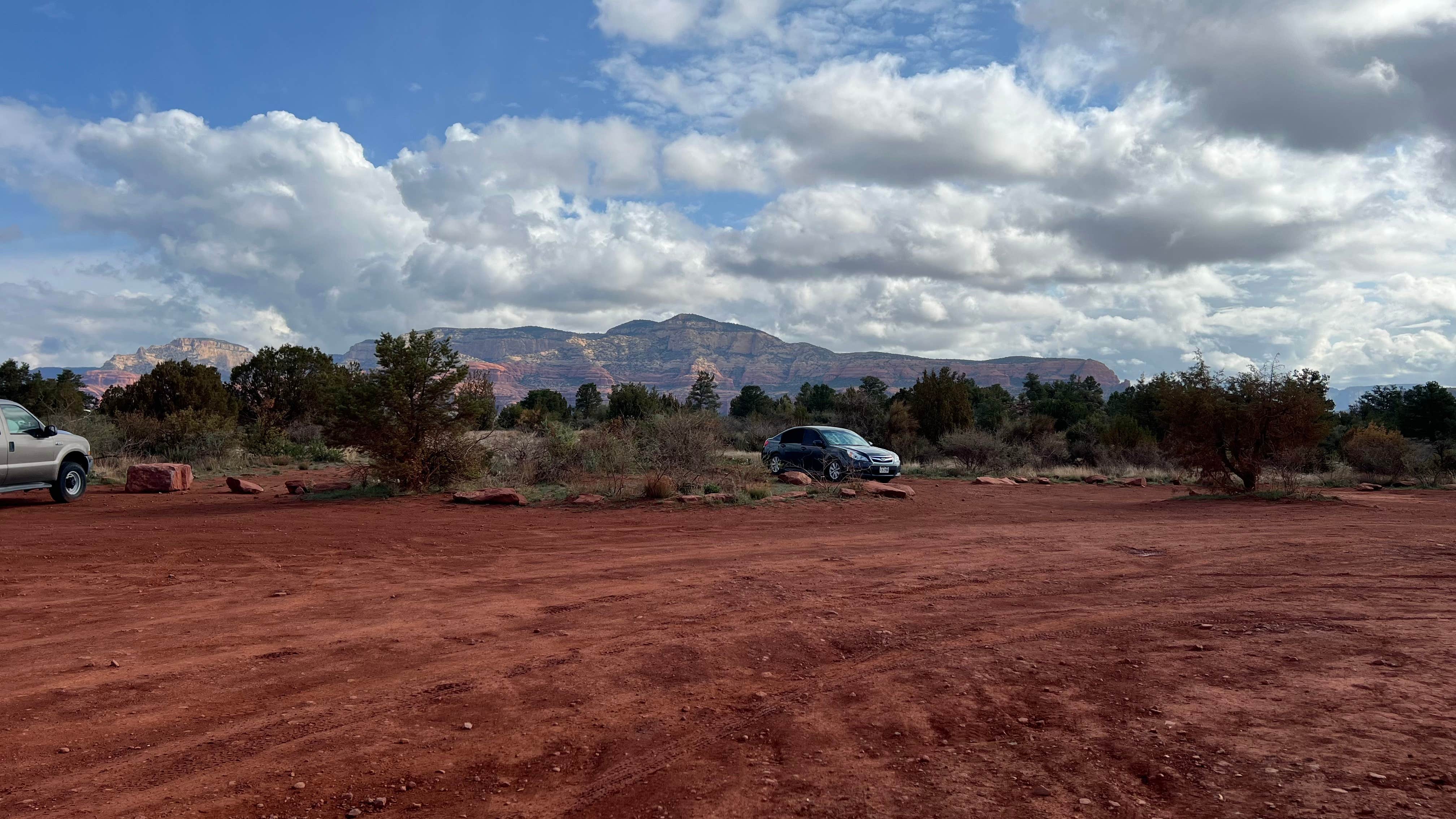 Camper submitted image from Forest Road 525 Camping Area - 5