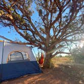 Review photo of West Sedona Designated Dispersed Camping by Addison G., October 23, 2024