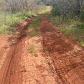 Review photo of Forest Road 533 by Melissa J., May 26, 2025