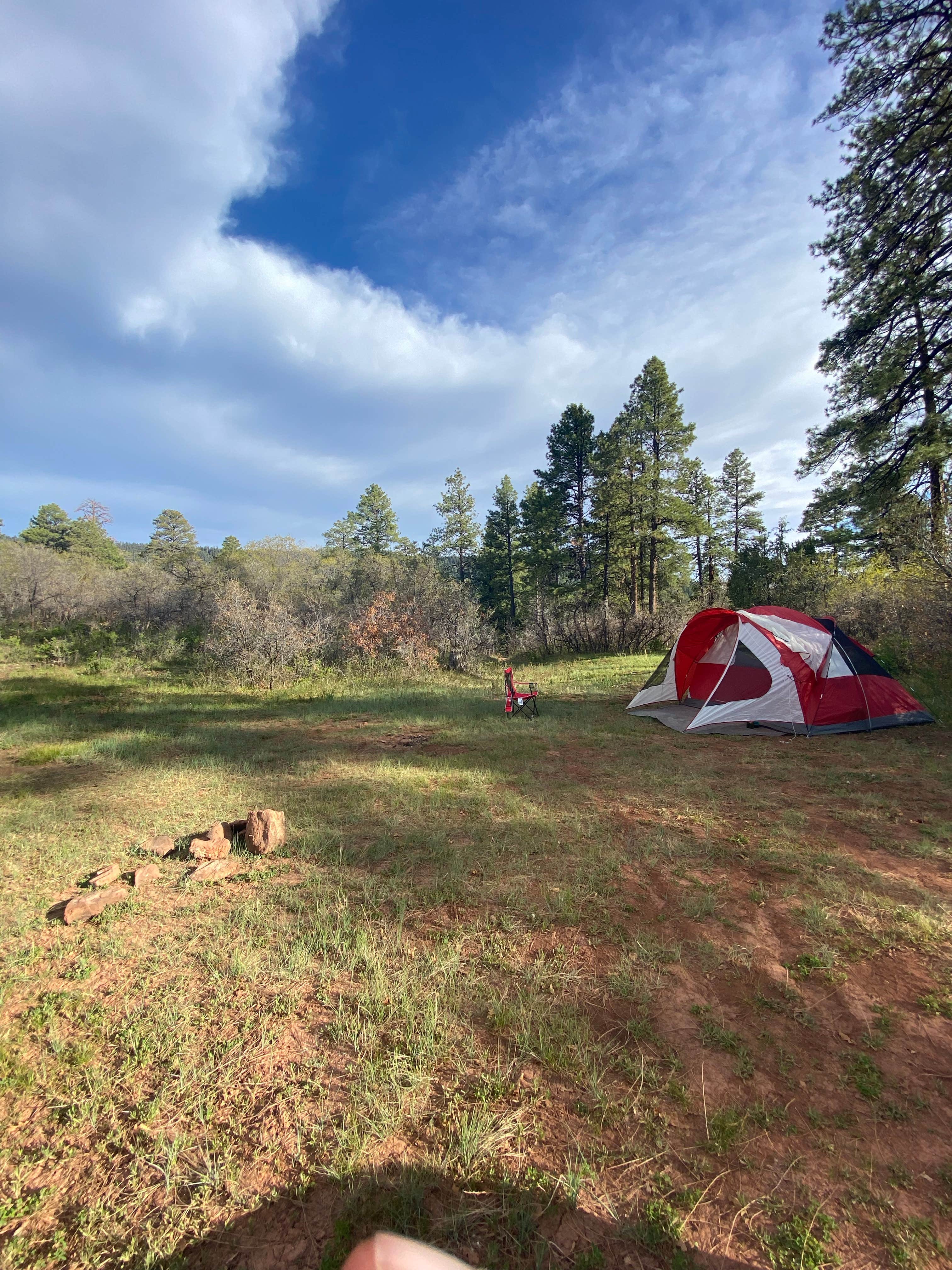 Melissa J.'s photo of a dispersed camping area at Forest Road 533 near Abiquiu Lake