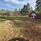 Review photo of Forest Road 533 by Melissa J., May 26, 2025
