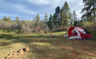 Melissa J.'s photo of a dispersed camping area at Forest Road 533 near Abiquiu Lake