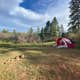 Forest Road 533