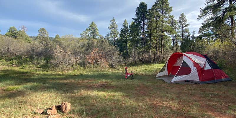 Camper submitted image from Forest Road 533