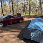 Review photo of Forest Road 535 - East by Will M., April 6, 2026