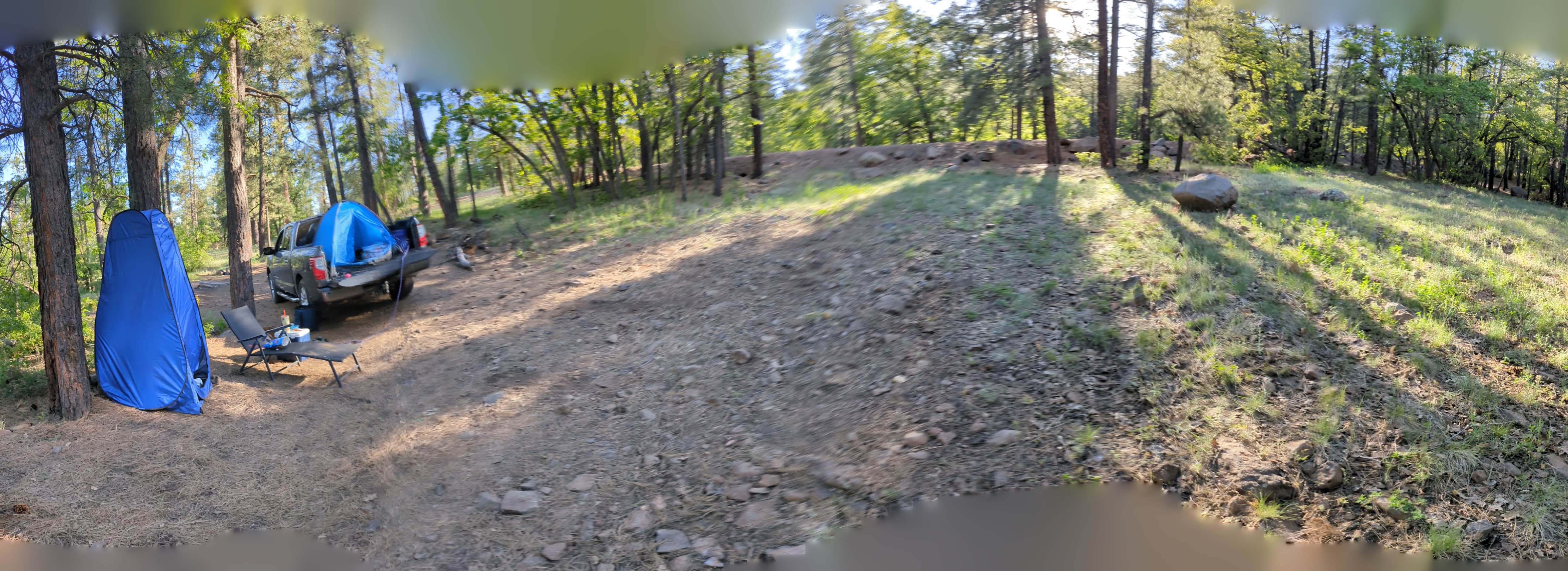 Forest Road 535 - East