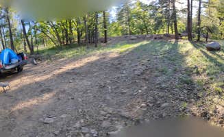 Jonnata's photo of a dispersed camping area at Forest Road 535 - East near Coconino National Forest